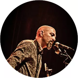 Dana Colley - American musician