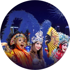 Danang International Fireworks Festival - 