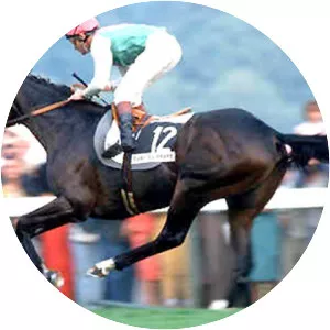 Dancing Brave - Horse
