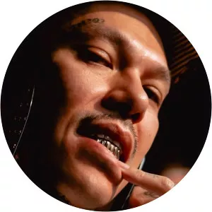 Dandee Musician - Musical artist