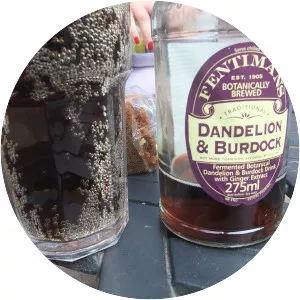 Dandelion and burdock