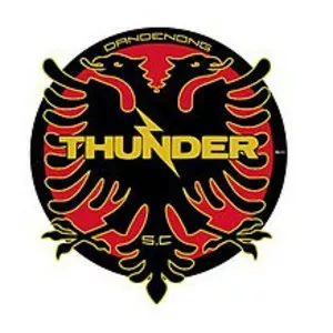 Dandenong Thunder SC - Soccer club