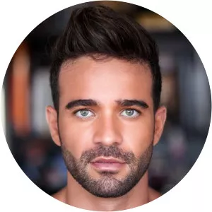 Dani Brasil - Musical artist