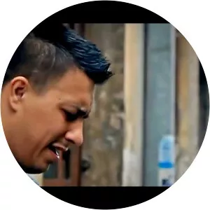 Dani Printul Banatului - Musical artist