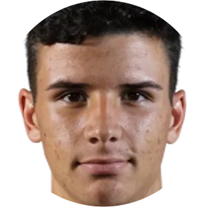 Daniel Filipe Bandeira e Silva