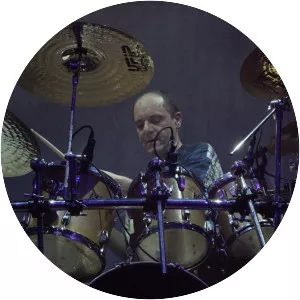 Daniele Trambusti Musician