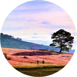 Dankia Lake - Golden Stream