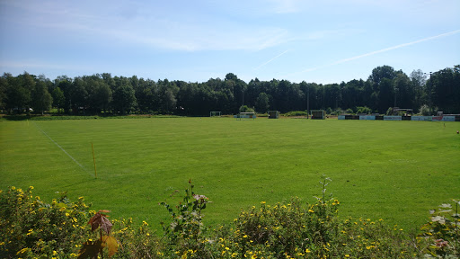 Dannike Ik - Athletic track in Sweden