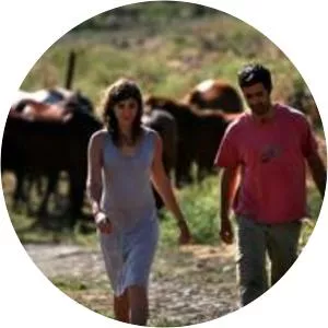 Danny Shick - Film editor