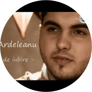 Danut Ardeleanu - Musical artist