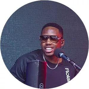 Dany Synthé - Musical artist