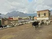 Dargai railway station