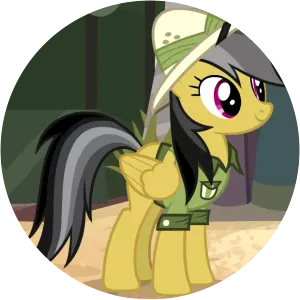 Daring Do photograph