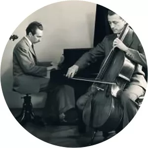 Dario de Rosa Musician