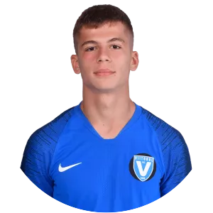 Darius Constantin Grosu