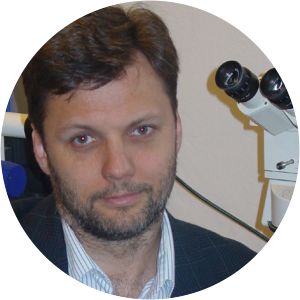 Dariusz J. Gwiazdowicz