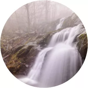 Dark Hollow Falls - Waterfall in Virginia