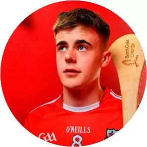 Darragh Fitzgibbon - 