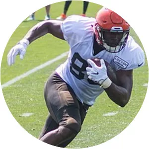 Darren Fells - American football tight end