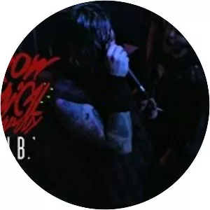 Darrow Chemical Company - Musical group