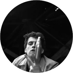 Datblygu - Musical group