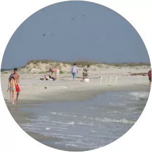 Dauphin Island