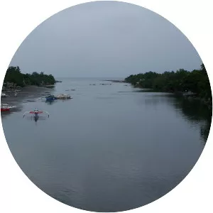 Davao River