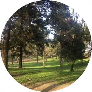 davazdah cheshmeh halumsar forest park