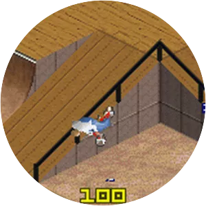 Dave Mirra Freestyle BMX 3