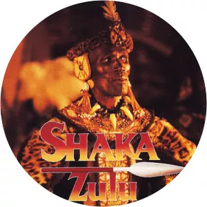 Dave Pollecutt - Musical artist