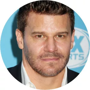 David Boreanaz