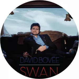David Bovée Musician - Musician