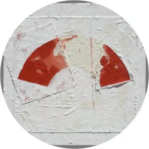 David de Almeida - Visual artist