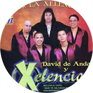 David De Anda Y Xelencia