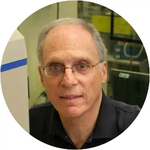David Eisenberg
