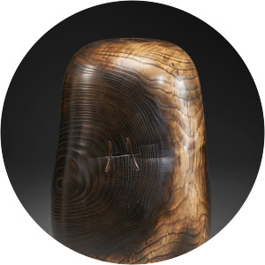 David Ellsworth - Artist