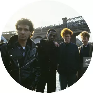 David Fryman - Guitarist