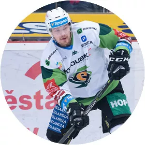 Dávid Gríger - Slovak ice hockey player