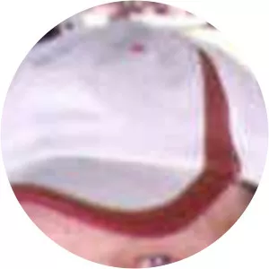 David Lee Fisher - Film-maker