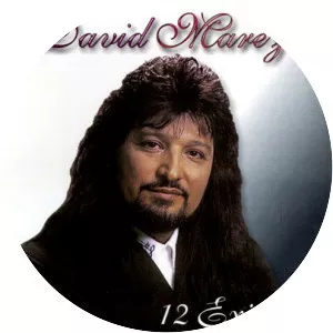 David Marez - Musical artist