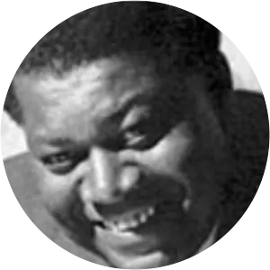 David Pitt, Baron Pitt of Hampstead