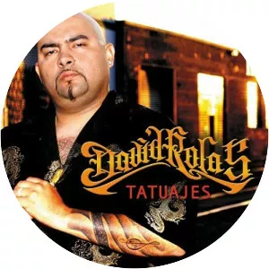 David Rolas - Singer-songwriter