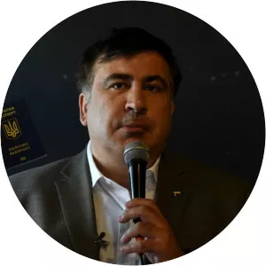David Saakashvili - Mikheil Saakashvili's brother