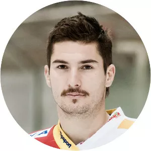 Dávid Skokan - Slovak ice hockey player