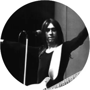 David Surkamp - Musical artist