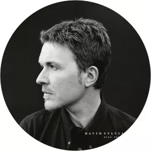 David Sylvian - Musician