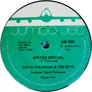 David Thekwane - Musical artist