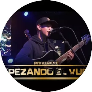 David Villavicencio - Musical artist
