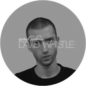 David Whistle - Musical artist