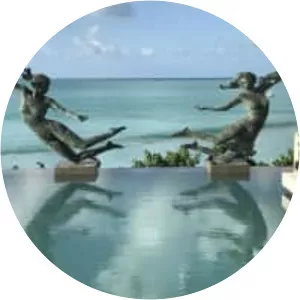 David Williams-Ellis